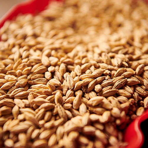 Weyermann PaleAleMalz