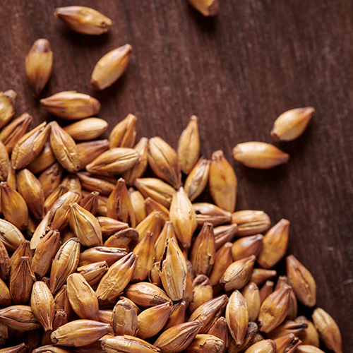 Weyermann Carabohemian