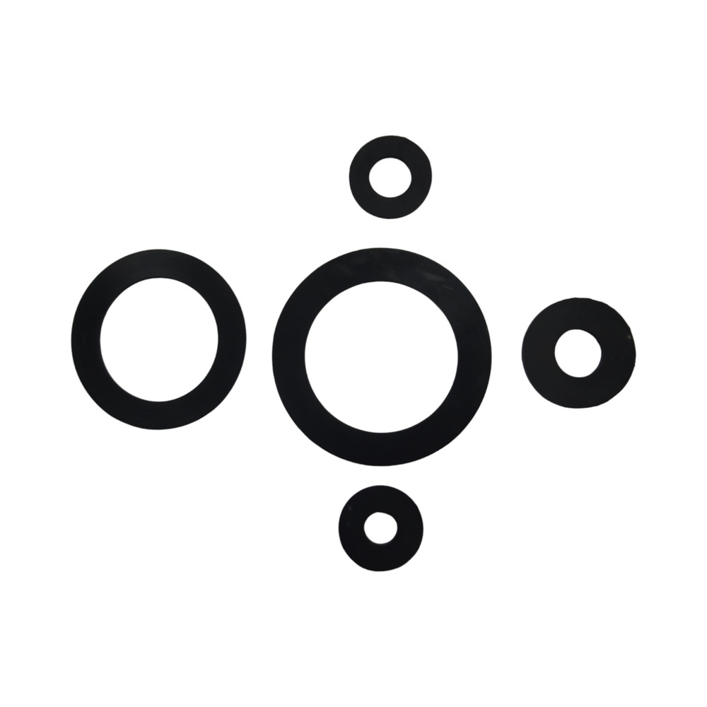 Sealing Ring Set
