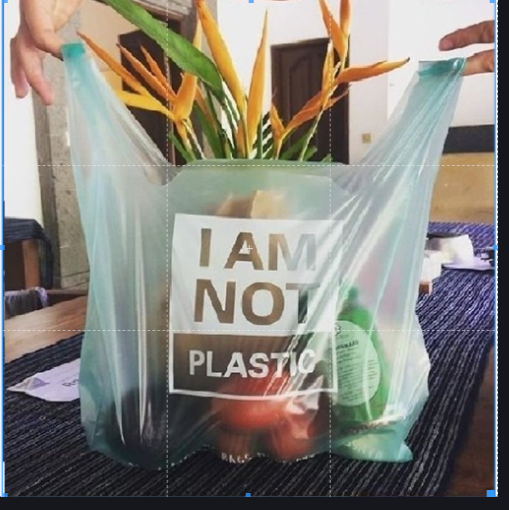 Size 13x16 Compostable Carry Bags