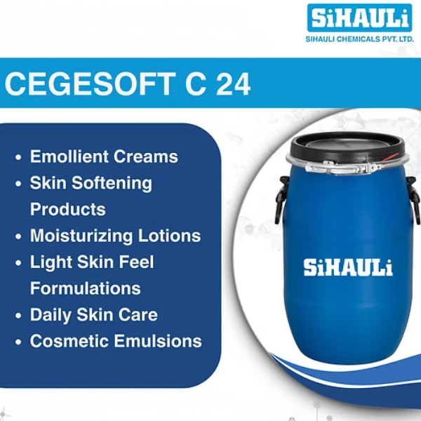 Cegesoft C 24