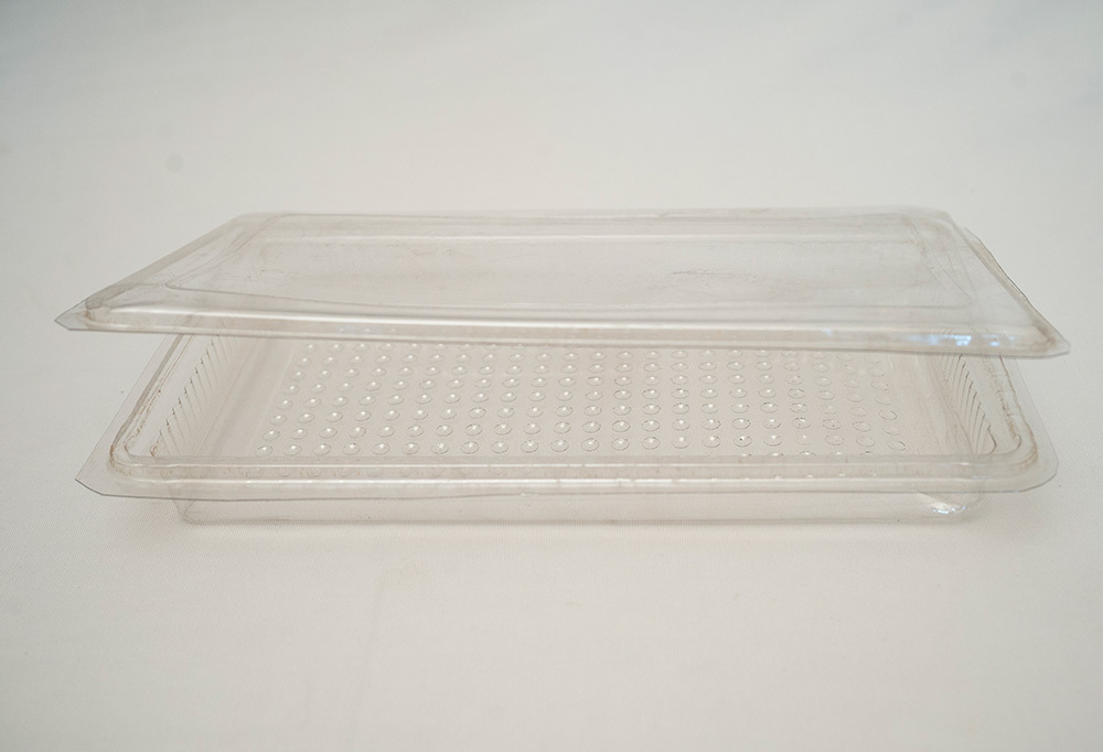 Clamshell Packaging