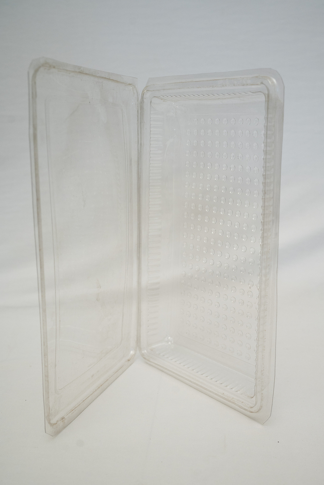 Clamshell Packaging