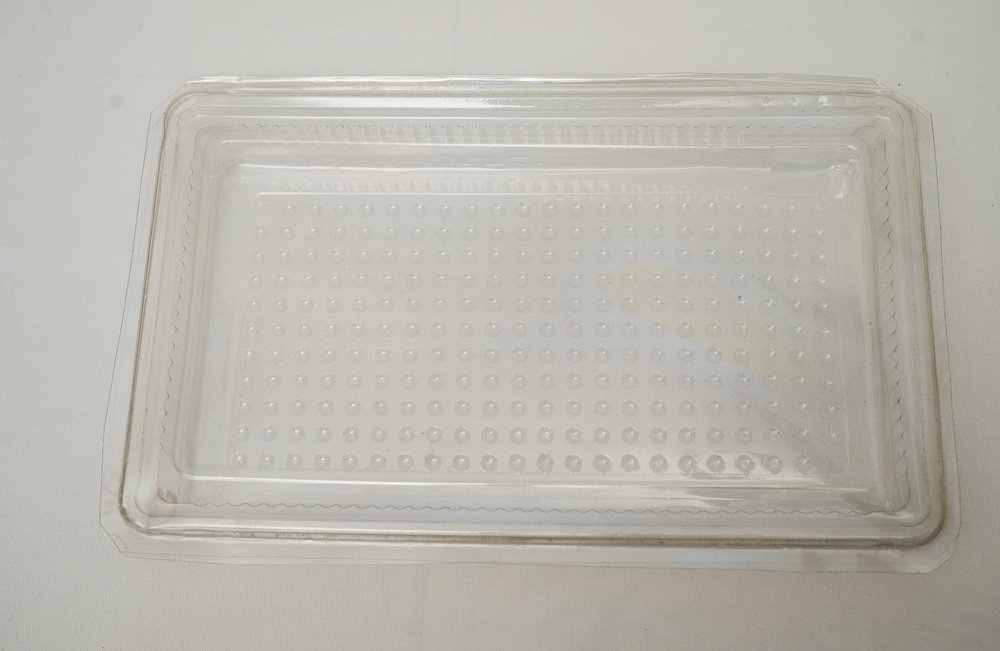 Clamshell Packaging