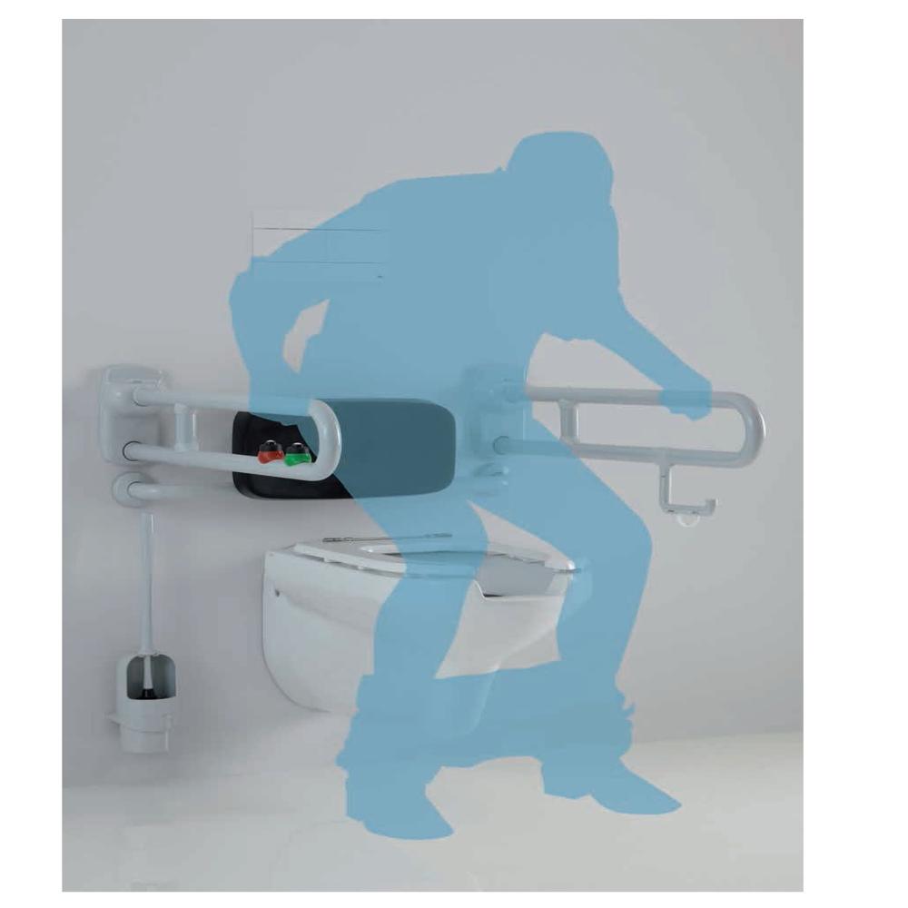 Handicap Swing Grab Bar 