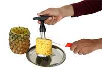 Pineapple Cutter