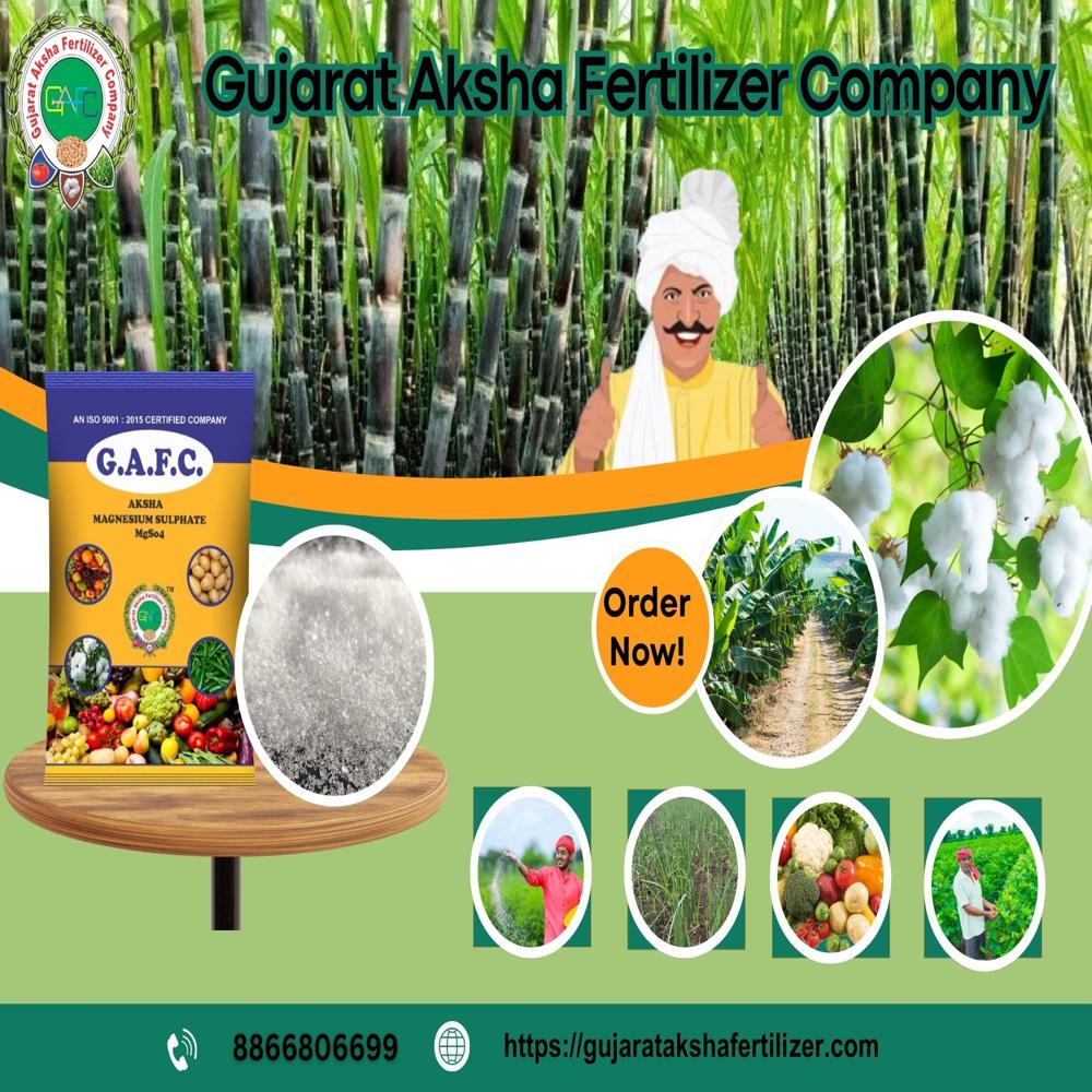 Magnesium Sulphate