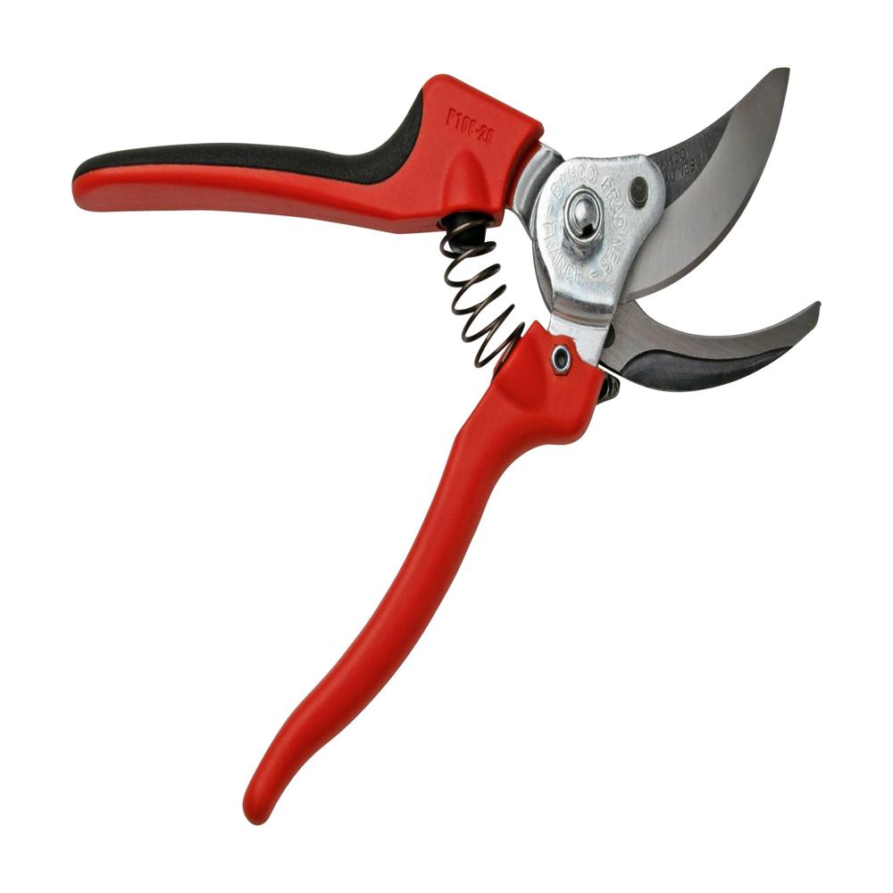Pruning Shear