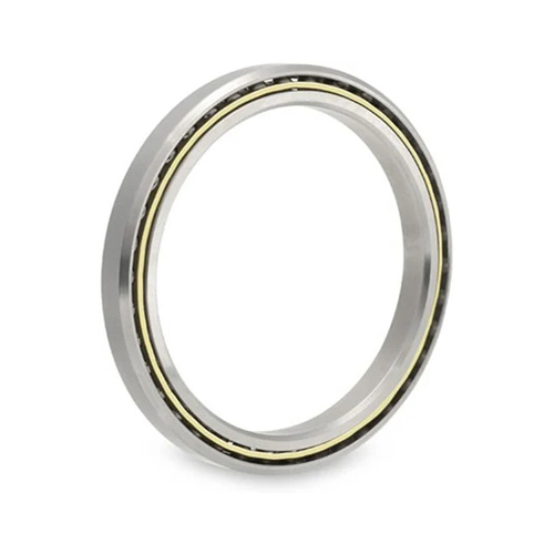 Kaydon Bearing