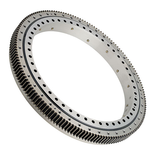Kaydon Bearing