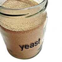 Dry Yeast 500gm