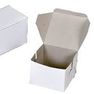 Double Pestry 4x6 100pc