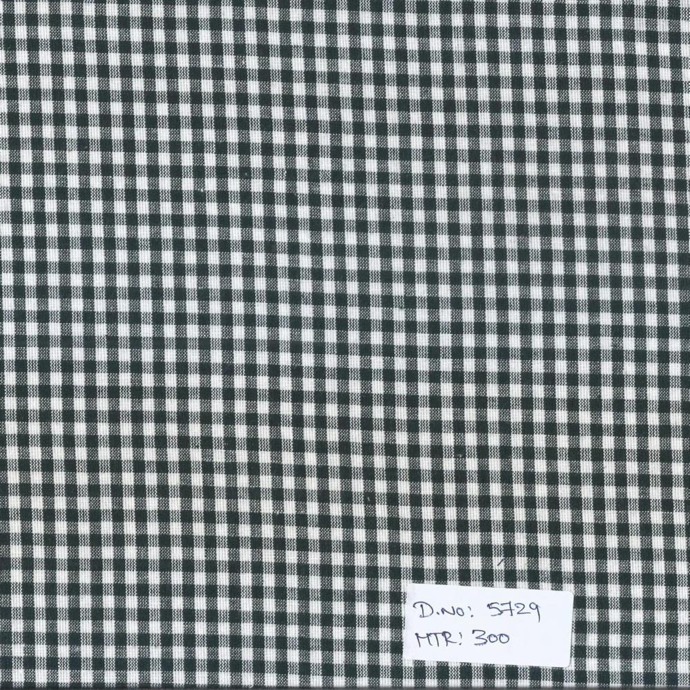 Modern Check