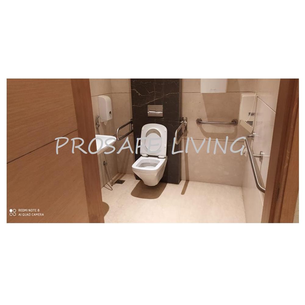 Handicap Grab Bar 600mm