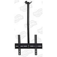 NV C2 Ceiling Wall Mount