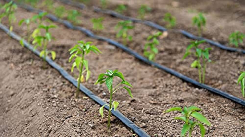 Flat inline / 200-16-4-40 / 1000 meter