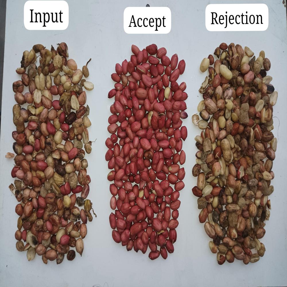 Color Sorterx Manufacturing