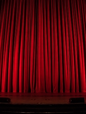 Realalpha Motorised curtain