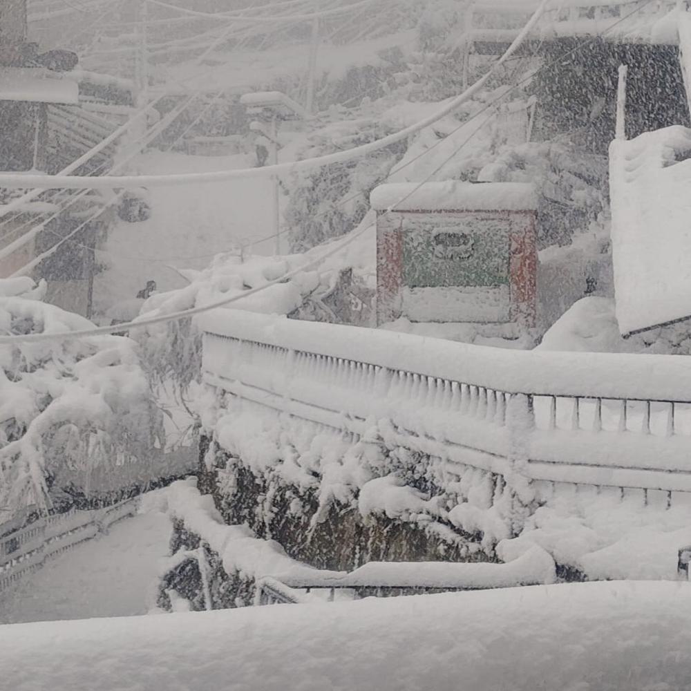 40 KVA Tata Deisel Silent DG Set