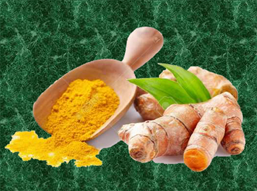 Turmeric Powder