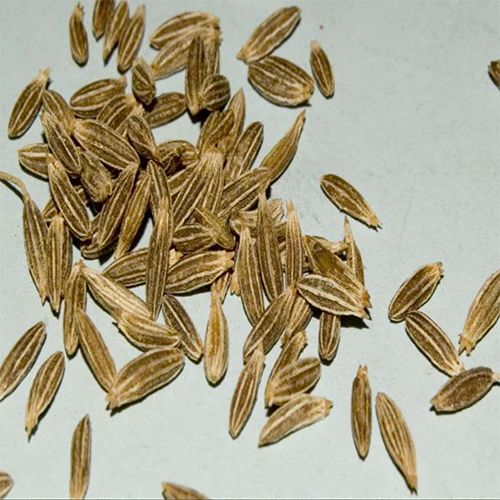 Cumin Seeds