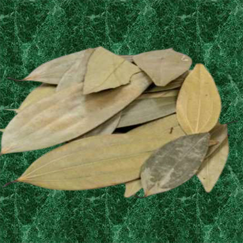 Bay Leaf