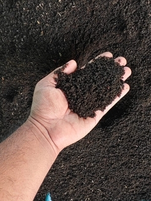 Vermi Compost