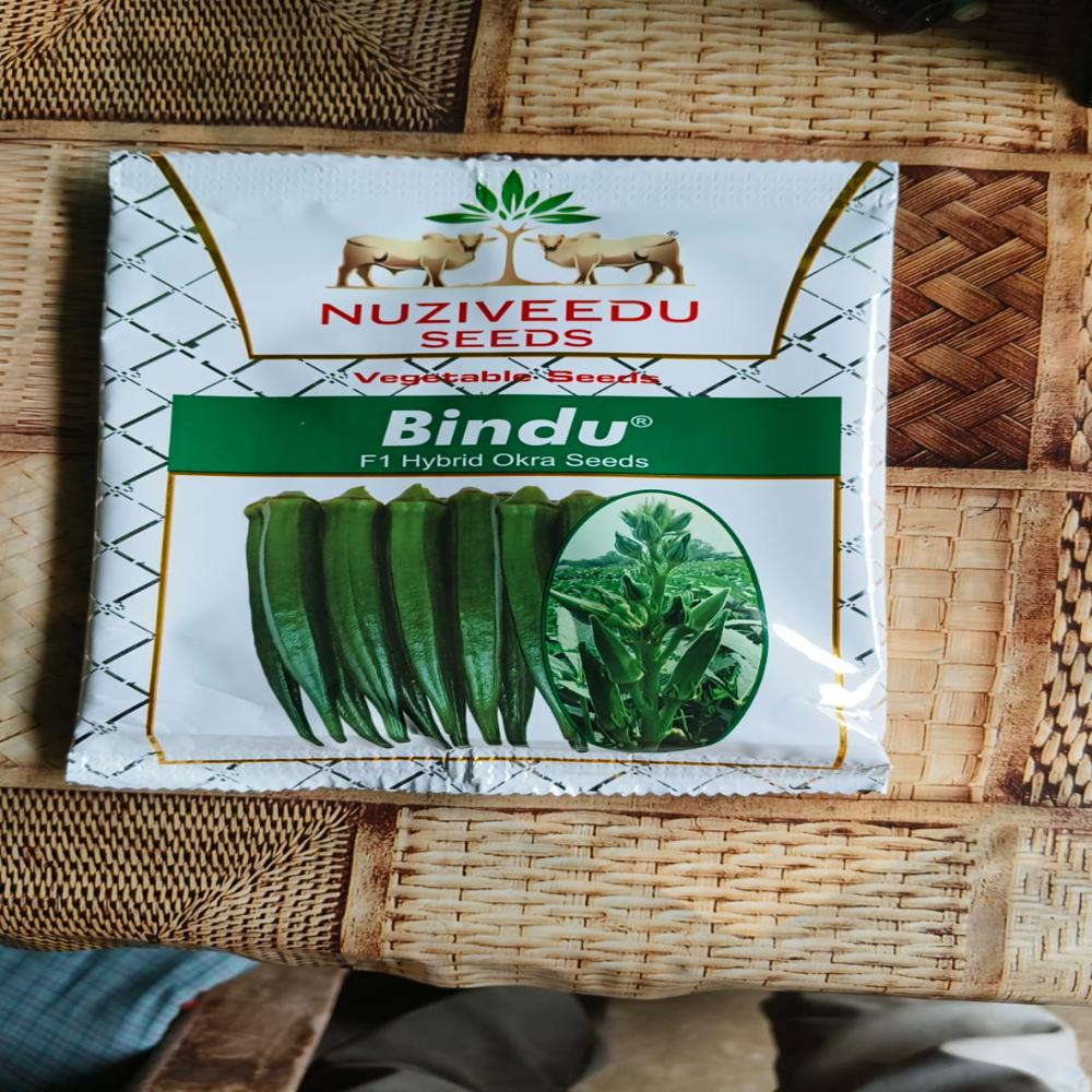 Ladies Finger Seeds - Admixture (%): <2%