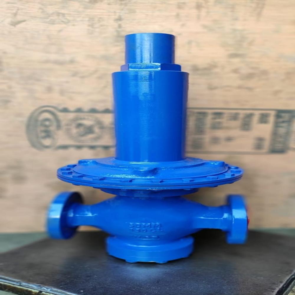Pressure Reducing Valve - Usage: Industrial