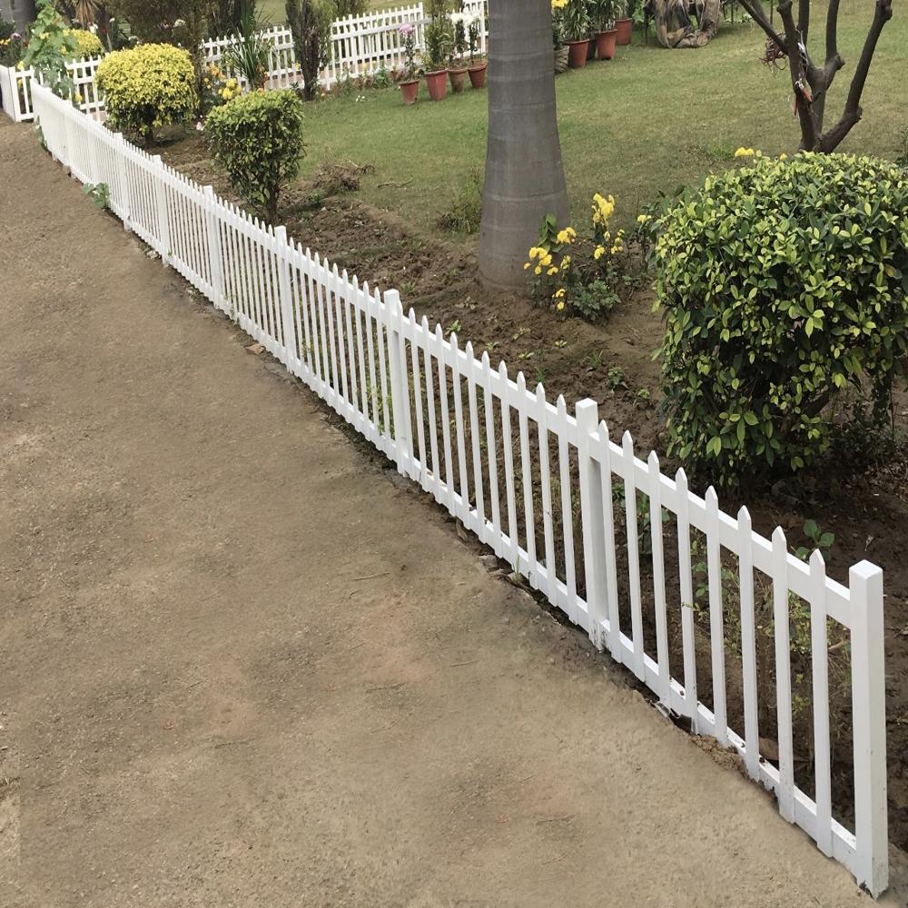 à¤¬à¤¾à¤à¤à¤¡à¥à¤°à¥ à¤«à¥à¤à¤¸à¤¿à¤à¤