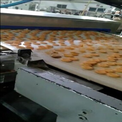 BISCUIT METAL DETECTOR