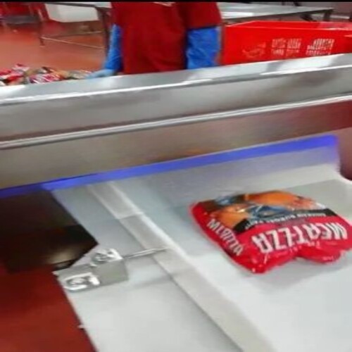 FROZEN FOOD METAL DETECTOR