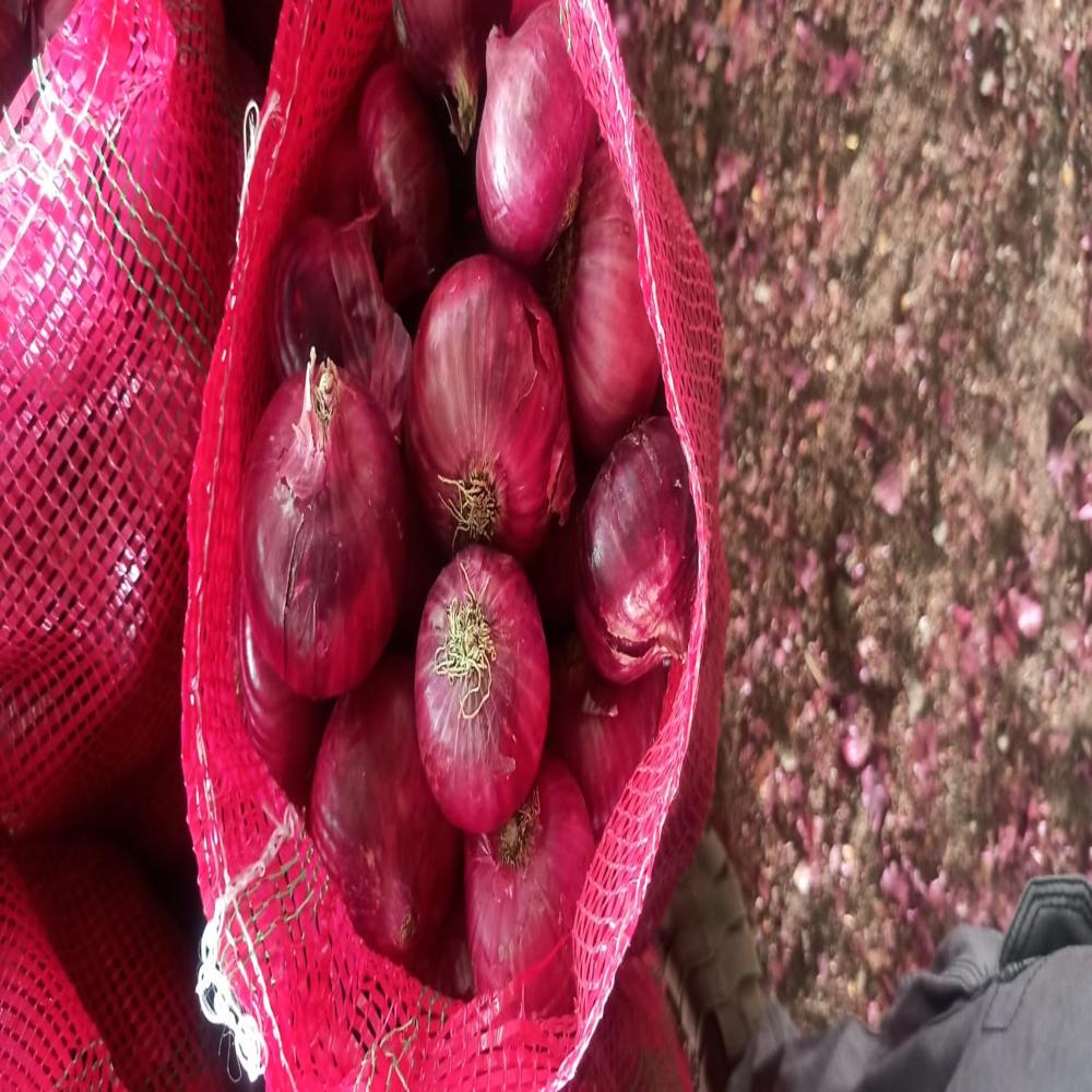 Red Onion - Dried, Seasoned | Naturally Grown, Brilliant Red Color, Quality Assured Packaging, Sourced From Authentic Cultivators