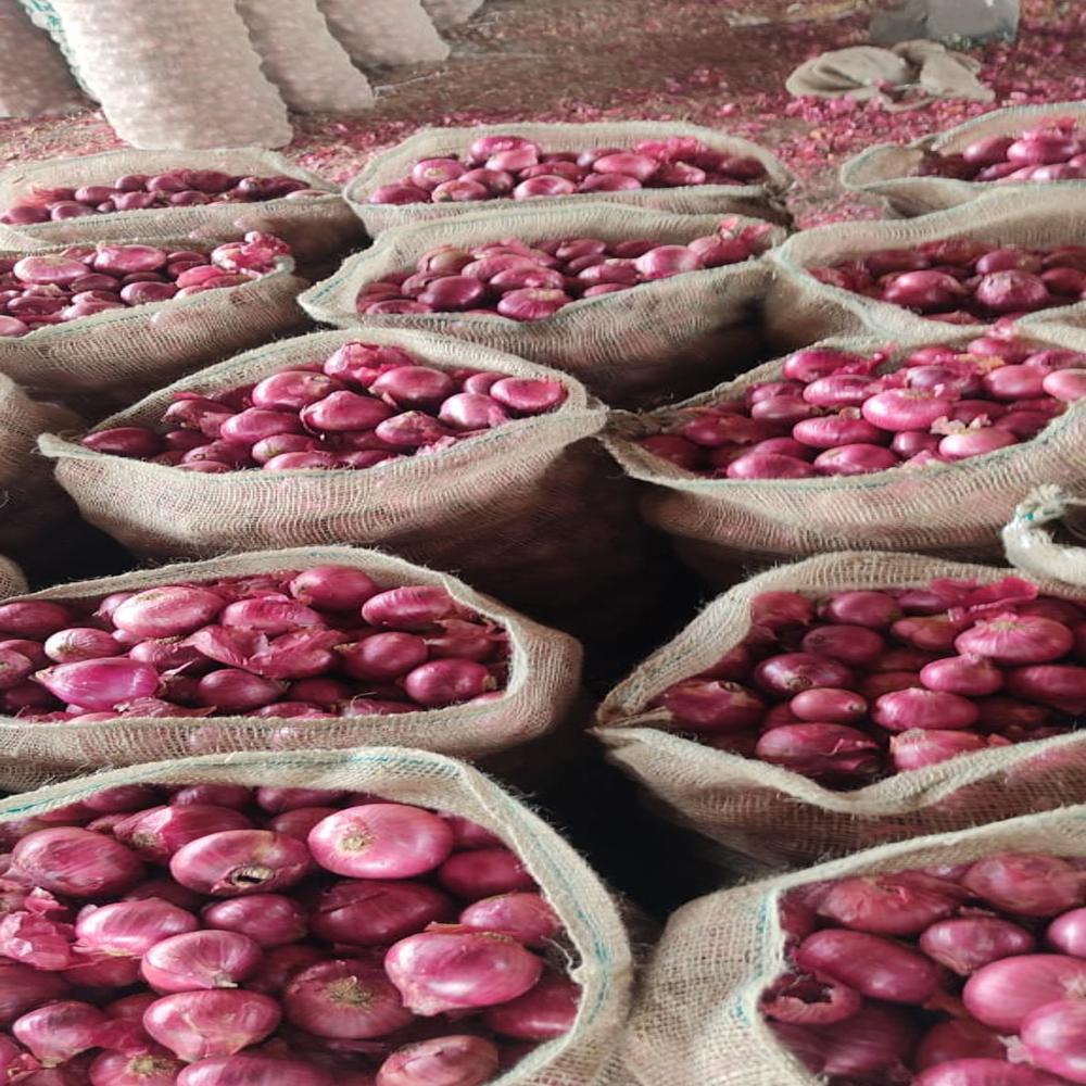 Red Onion - Dried, Seasoned | Naturally Grown, Brilliant Red Color, Quality Assured Packaging, Sourced From Authentic Cultivators