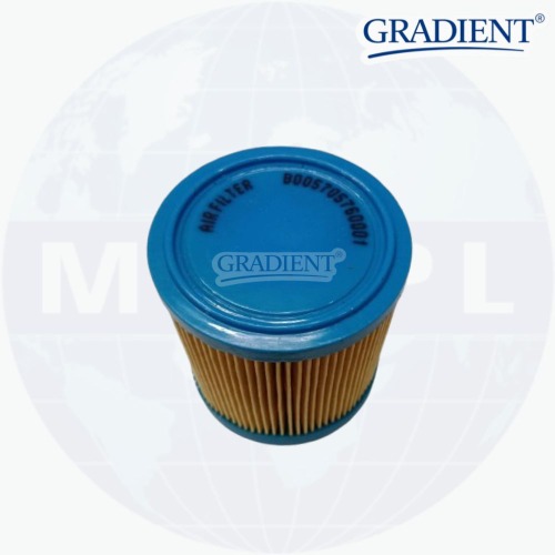 ELGI AIR FILTER B005705760001