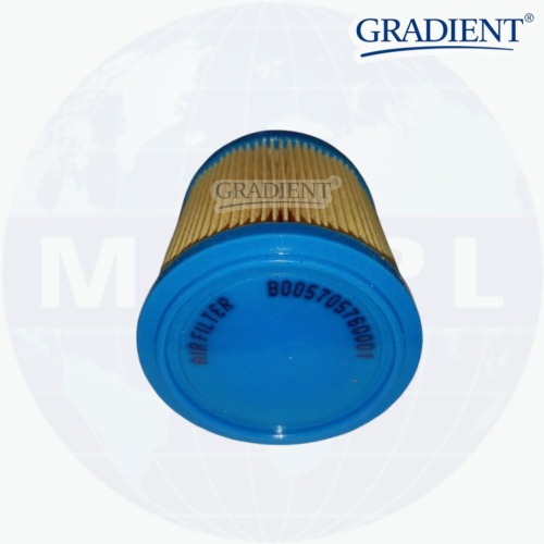 Elgi Air Filter B005705760001 - Height: 9 Centimeter (Cm)