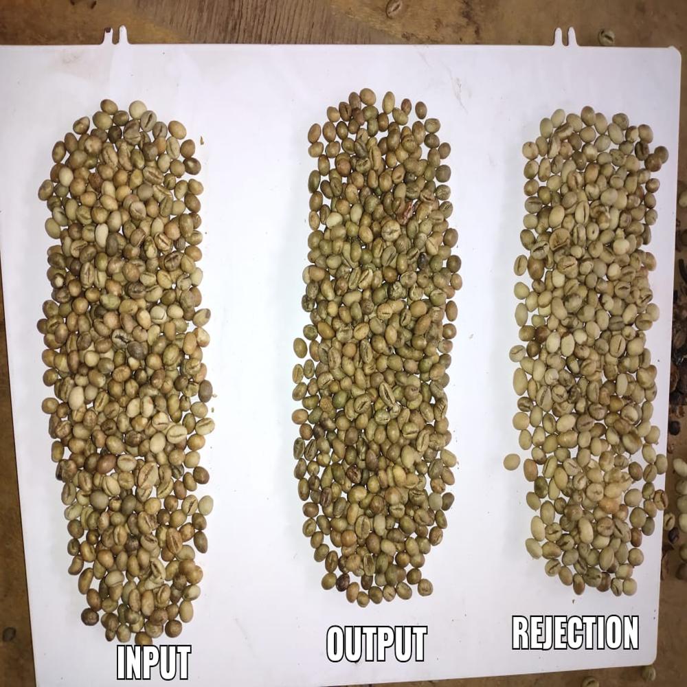 Coffee Beans Sorting Machine - Dimension (L*w*h): 4*5-6 Foot (Ft)