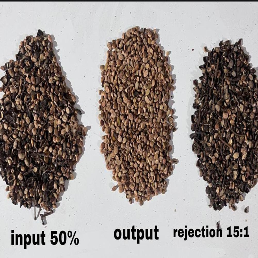 Coffee Beans Sorting Machine - Dimension (L*w*h): 4*5-6 Foot (Ft)