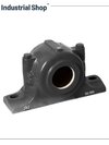 Sn bearing