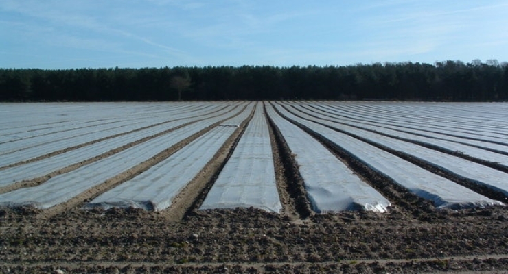 Crop Cover