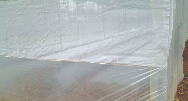 Skirting Greenhouse Films - Advantage: Protects Crops