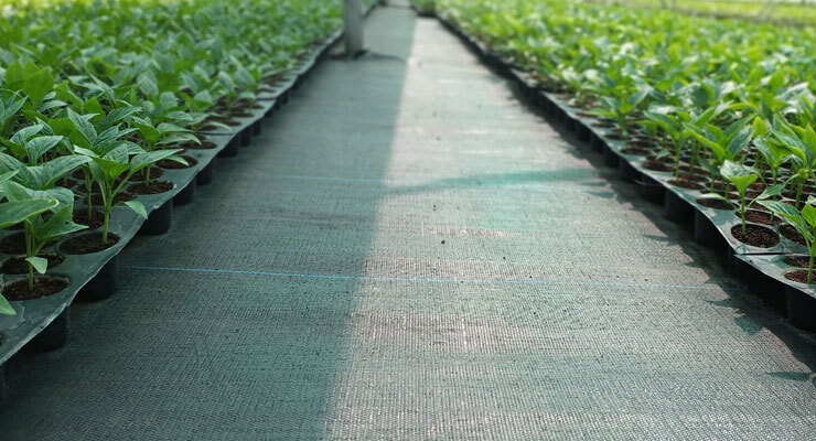 Weed Control Mat - Base Material: Uv Stabilized Pp