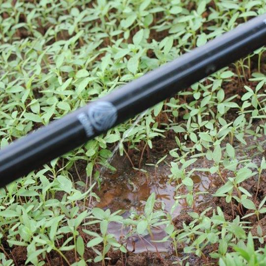 Drip Tape - 250 / Plain / 20 Mm / 800 Meter