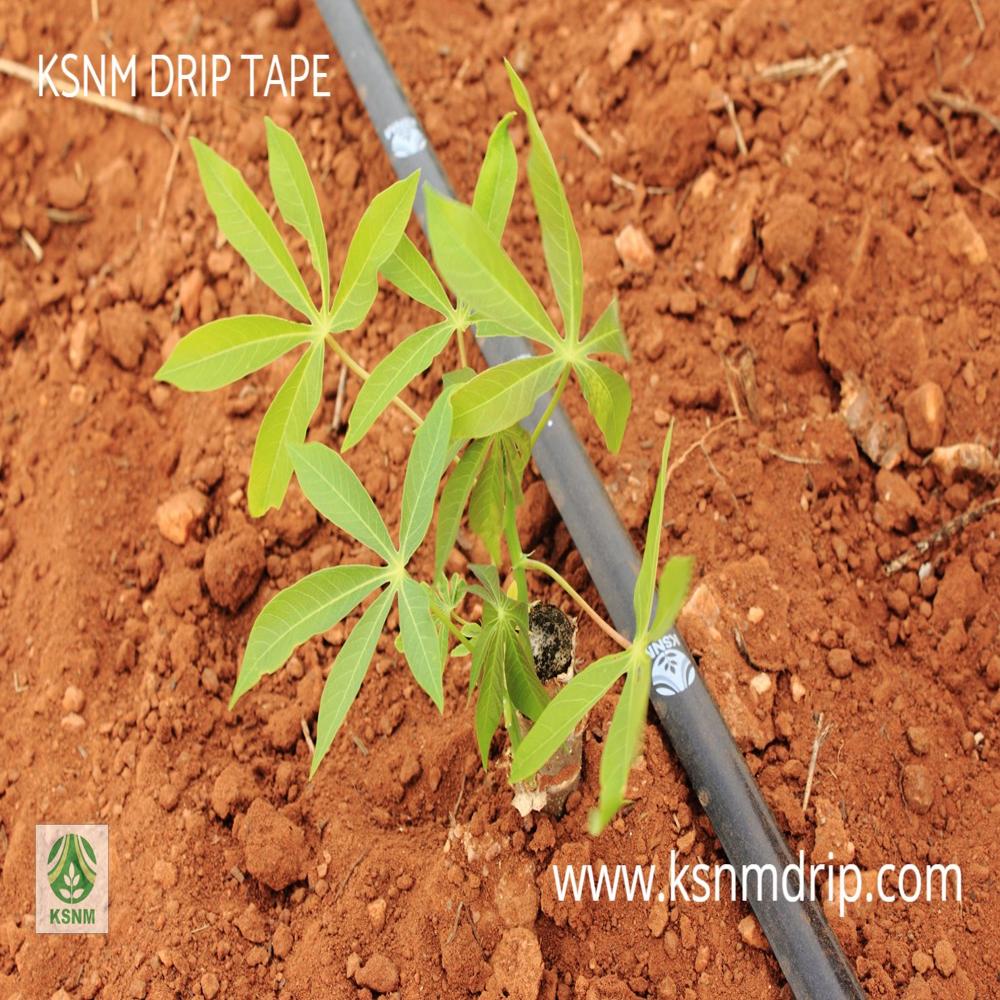 DRIP TAPE - 250 / PLAIN / 20 mm / 800 meter