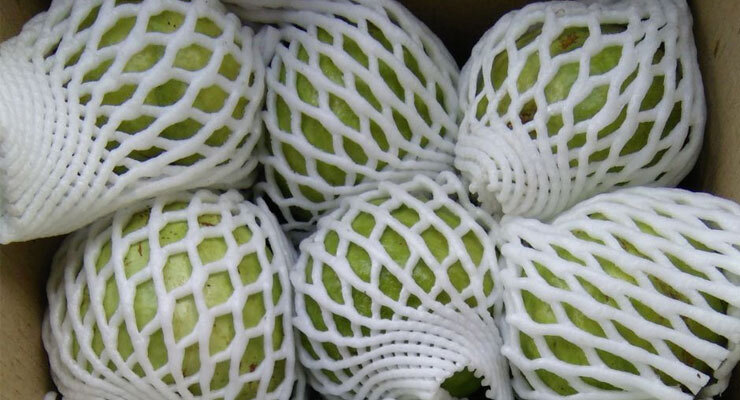 Fruit Cover Foam Net