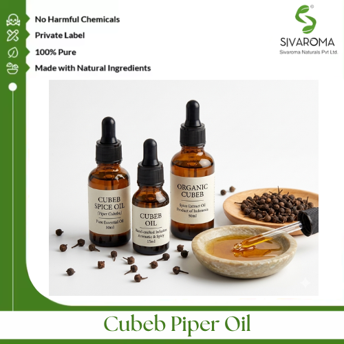 Cubeb Piper Oil