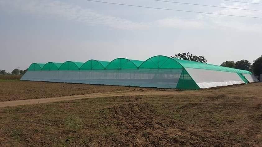 Green Shade Net Houses