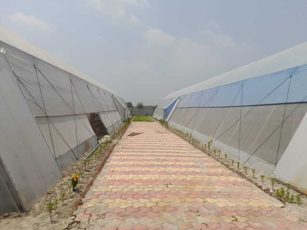HDPE Driplock Diffused Greenhouse