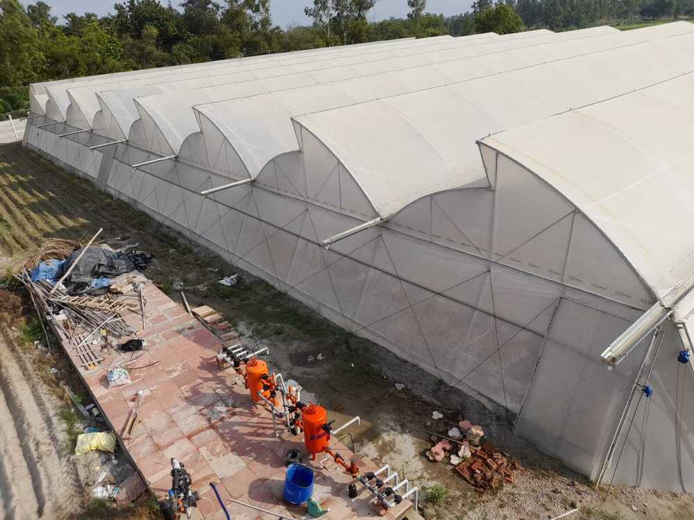 Modular PVC Naturally Ventilated Polyhouse