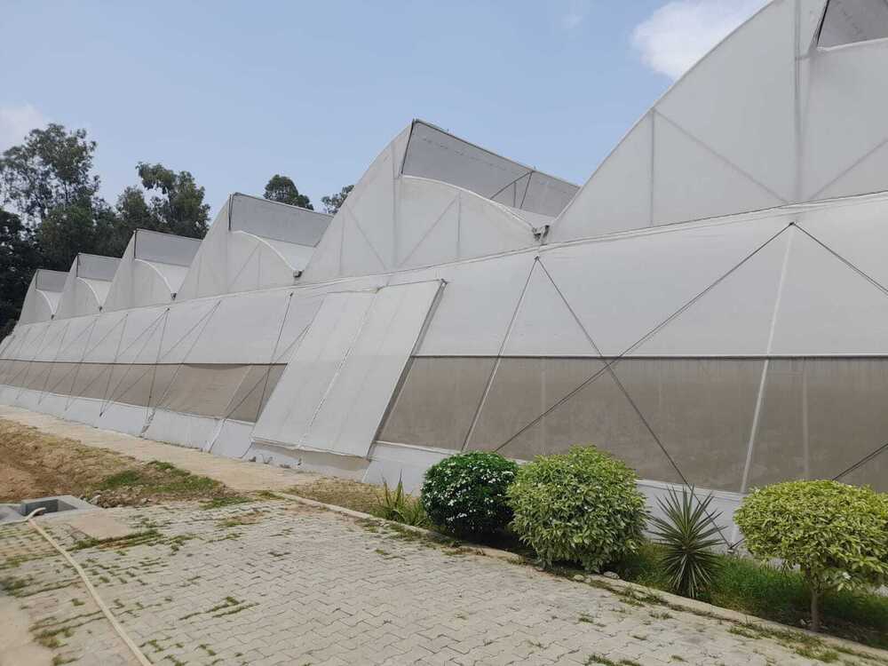 Naturally Ventilated Polyhouse